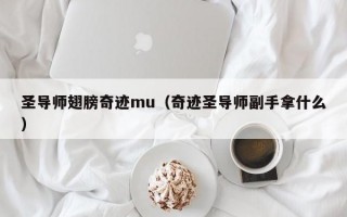 圣导师翅膀奇迹mu（奇迹圣导师副手拿什么）