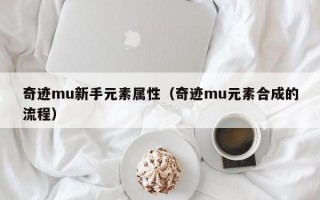 奇迹mu新手元素属性（奇迹mu元素合成的流程）